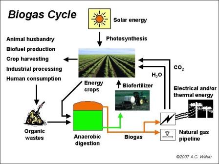 Flow Chart Of Biogas Plant